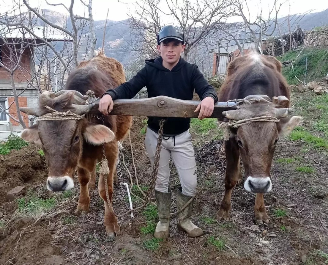 Click the image to open in full size.