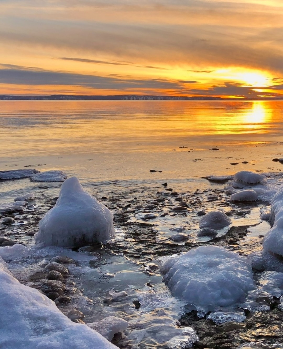 Click the image to open in full size.