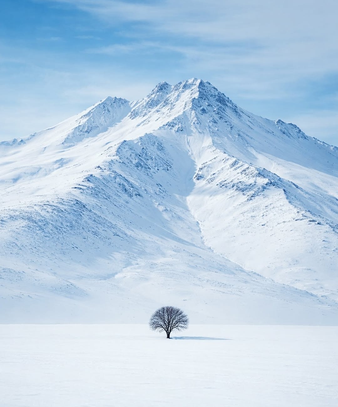 Click the image to open in full size.