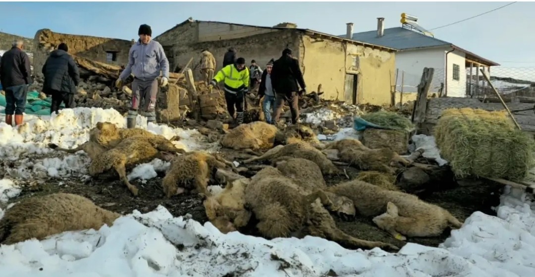 Click the image to open in full size.