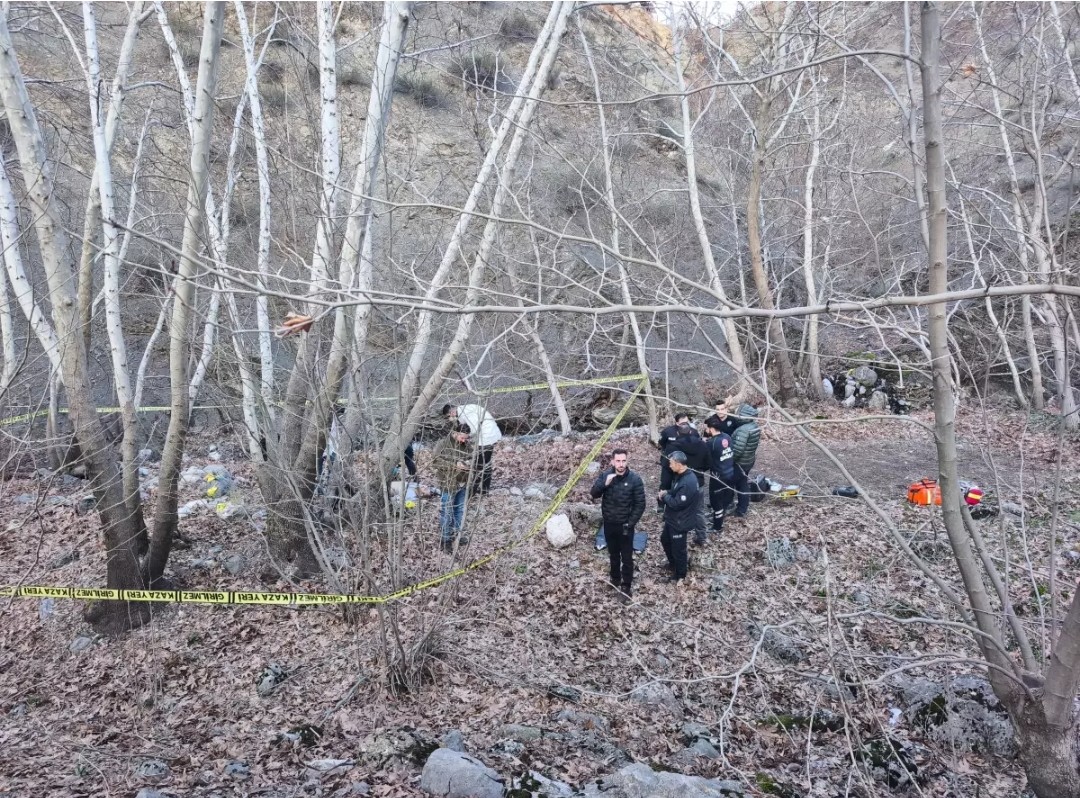 Click the image to open in full size.