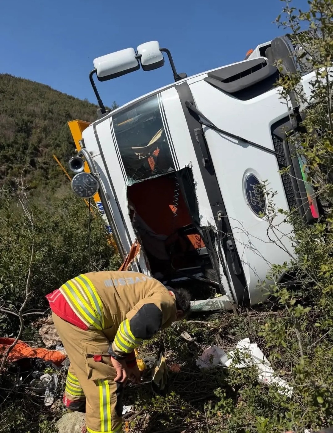 Click the image to open in full size.