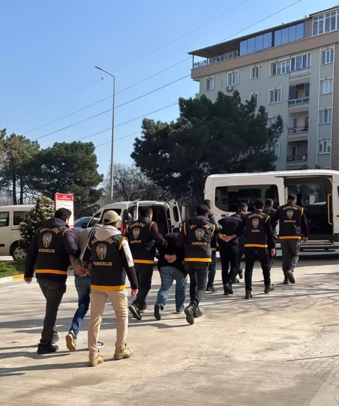 Click the image to open in full size.